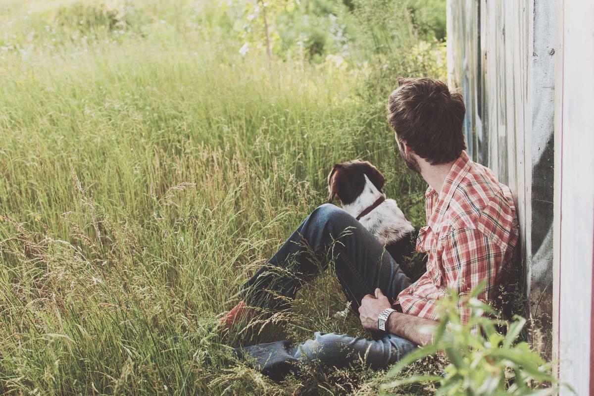 Atelier de taille des murs à ossature bois d'Hypernorth Glen